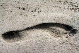 sandy footprint